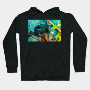 Сhameleon sitting on a tree branch Hoodie